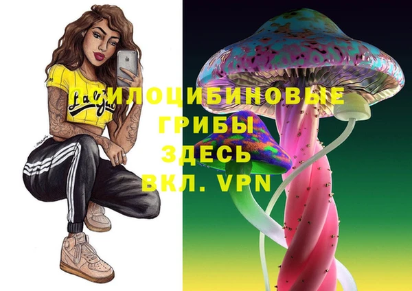 твердый Абинск