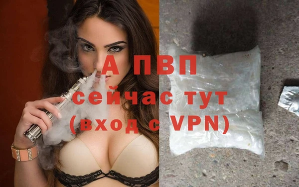 прущие крисы Абаза