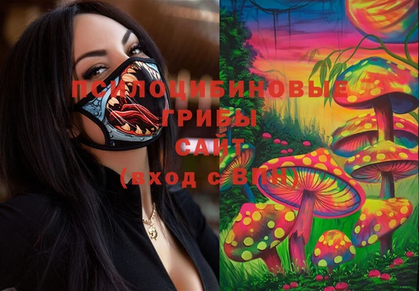 твердый Абинск
