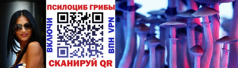 Псилоцибиновые грибы Magic Shrooms Сухой Лог